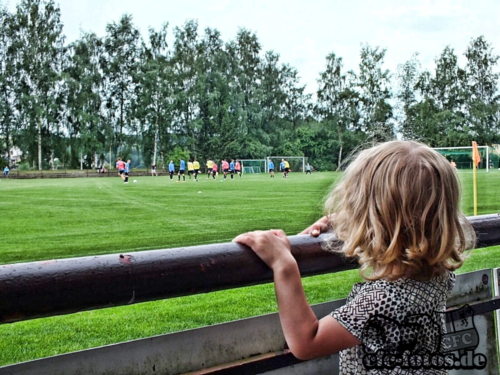 Chemnitzer FC - FCO Neugersdorf / 2:2 (0:0)