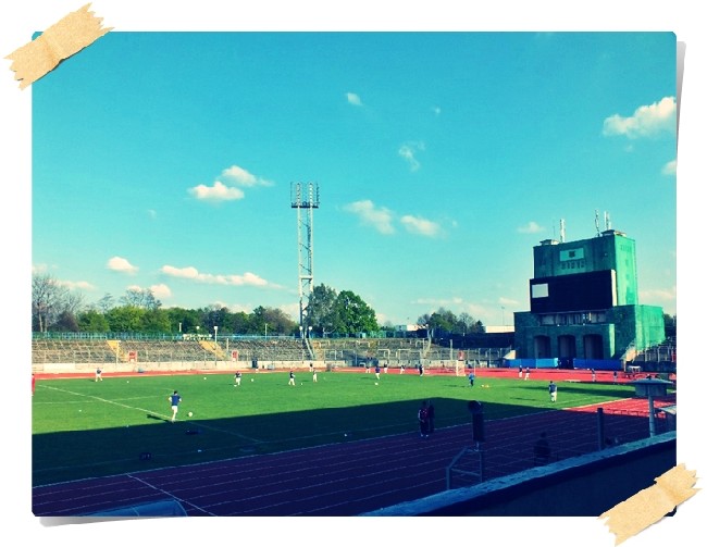 Chemnitzer FC - FSV Zwickau / 4:1 (0:0)