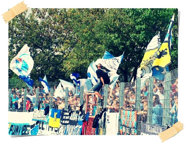 Hallescher FC - Chemnitzer FC / 0:1 (0:0)