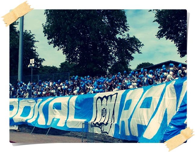 VFC Plauen - Chemnitzer FC / 0:1 (0:1)