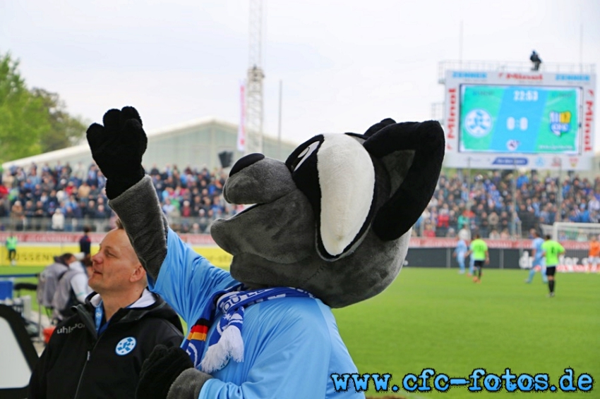 SV Stuttgarter Kickers - Chemnitzer FC 0:1 (0:0)