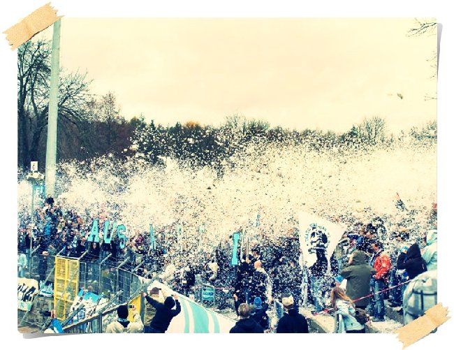 VFC Plauen - Chemnitzer FC / 0:4 (0:3)