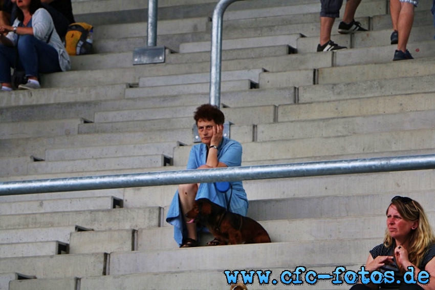 Chemnitzer FC - Stadtauswahl / 10:1 (6:0)